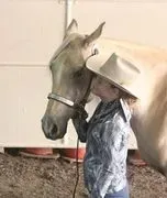 Seward Stables logo