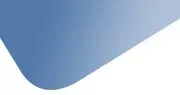 Youth Advocate Programs, Inc. logo