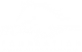 Making Strides Foundation logo