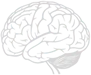 Complete Neuropsychology P.C. logo
