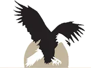 P.S. 770 The New American Academy logo