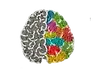 Brooklyn Neuropsychology logo