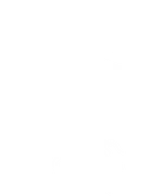 Taproot Therapy NYC logo