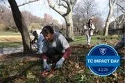 Teachers College - Columbia University logo