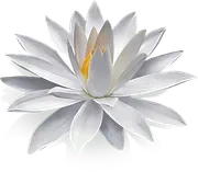 Philipsburg Therapy logo
