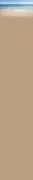 Lighthouse Integrative Counseling Services logo