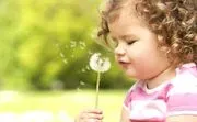 Blossom Speech & Feeding logo