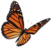 WINGS ABA Therapy logo