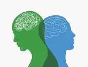 Neuropsychological Services of Westchester logo