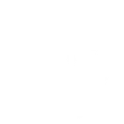Therapy & Wellness Connection logo