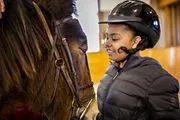 Misty Meadows Equine Learning Center logo