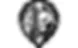 North Stonington Public Schools logo
