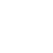 Steger School District 194 logo