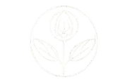 SageMind Psychiatric Care LLC logo