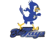 Perry Community School District logo
