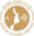 Wildflower Pediatric Therapy LLC logo