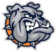 Summerfield Schools logo