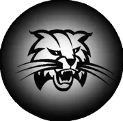 Athens Area School District logo