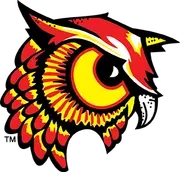 Bradford Area School District logo