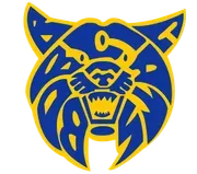 Benton Community School District logo