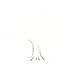 Rooted Through Nature logo