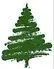 Evergreen Academy logo