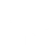 Michigan Developmental Disabilities Institute logo