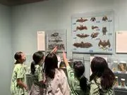 Applewild School logo