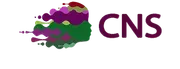 Children's Neuropsychological Services, PLLC logo