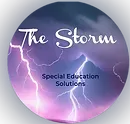 The Storm Special Education Solutions, LLC logo