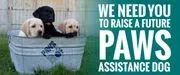 Paws With A Cause logo