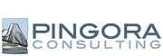 Pingora Consulting, LLC logo