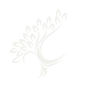 Flatrock Inc logo