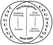 Psycholinguistic Associates, Inc. logo