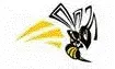 Camas Valley Charter School logo
