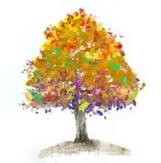 Sweet Birch Therapy LLC logo