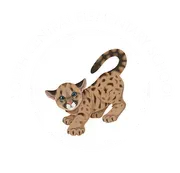 South Central School District 26-5 logo