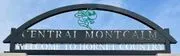 Central Montcalm Public Schools logo