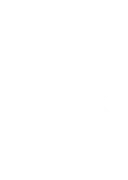 Developmental Concepts, Inc. logo
