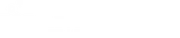 BLUUM logo