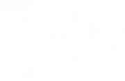 Night To Shine at Sheboygan County logo