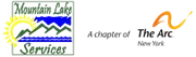 Mountain Lake Services logo