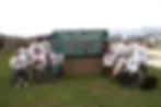 Syble Hopp School logo
