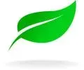 New Leaf Speech and Voice logo
