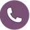 True North Speech and Wellness logo