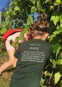 Concord Academy of Petoskey logo