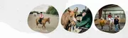 Pegasus Project Therapeutic Riding Center logo