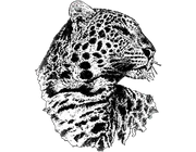 Lakeview Elementary School logo