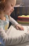 Silent Elephant 
