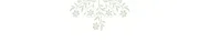 Jacqueline Grosse, M.A., CCC/SLP logo